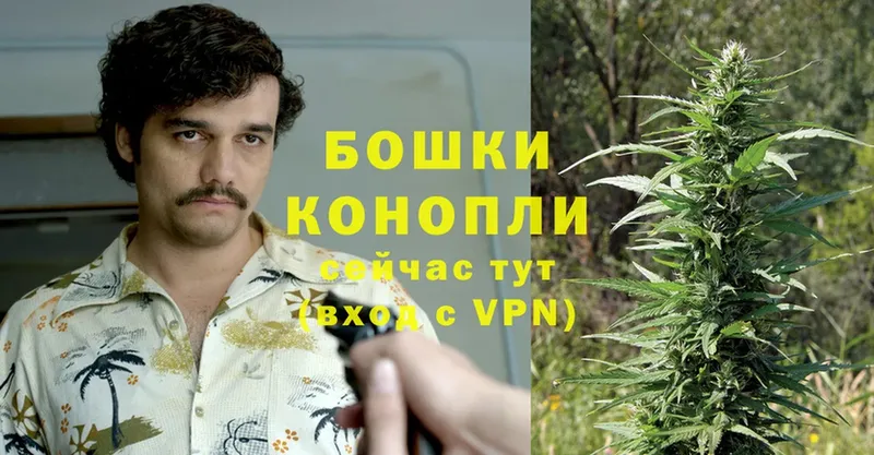 Конопля OG Kush  Серпухов 